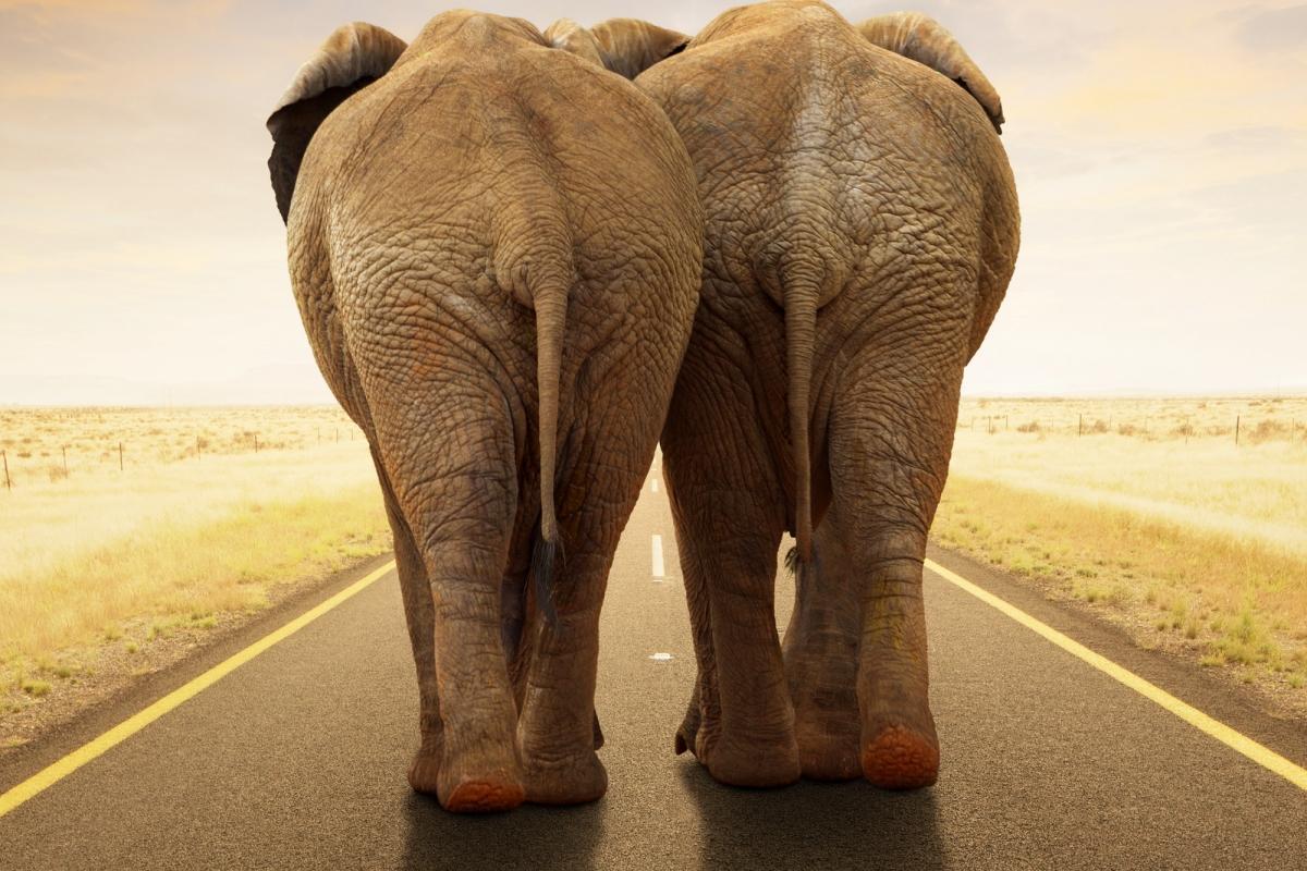 Testiranje čvrstoće i otpornosti kamenog tepiha